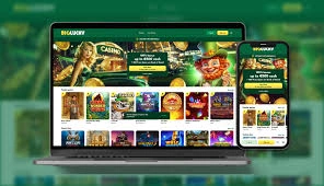 Big lucky Casino App Screenshot